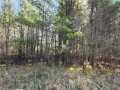 Black River Falls Residential Real Estate