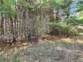 Black River Falls Residential Real Estate