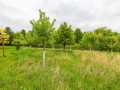 Boyceville Residential Real Estate