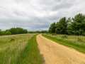 Boyceville Residential Real Estate