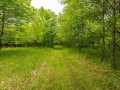 Boyceville Residential Real Estate