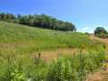 Menomonie Land Real Estate