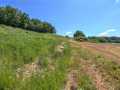Menomonie Land Real Estate