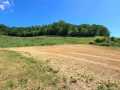 Menomonie Land Real Estate