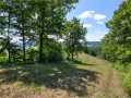 Menomonie Land Real Estate