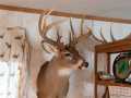 Menomonie Land Real Estate