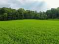 Menomonie Land Real Estate