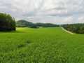 Menomonie Land Real Estate