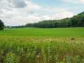Menomonie Land Real Estate
