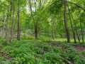 Menomonie Land Real Estate