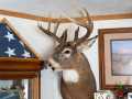 Menomonie Land Real Estate