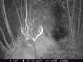 Elk Mound Land Real Estate