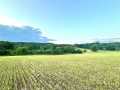 Elk Mound Land Real Estate