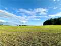 Elk Mound Land Real Estate