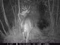 Elk Mound Land Real Estate