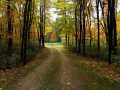 Elk Mound Residential Real Estate