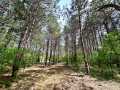 Colfax Land Real Estate