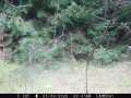 Colfax Land Real Estate