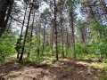 Colfax Land Real Estate
