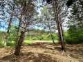 Colfax Land Real Estate