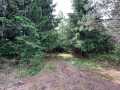 Colfax Land Real Estate