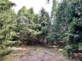 Colfax Land Real Estate