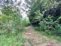 Colfax Land Real Estate