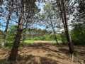 Colfax Land Real Estate