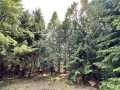 Colfax Land Real Estate