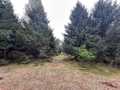 Colfax Land Real Estate