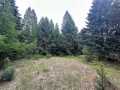 Colfax Land Real Estate