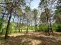 Colfax Land Real Estate