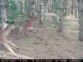 Colfax Land Real Estate