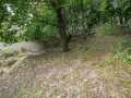 Elk Mound Residential Real Estate