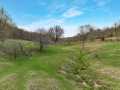 Knapp Land Real Estate