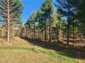 Knapp Land Real Estate