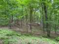 Birchwood Residential Real Estate