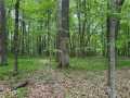 Birchwood Residential Real Estate