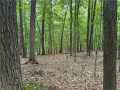 Birchwood Residential Real Estate