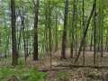 Birchwood Residential Real Estate