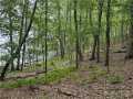 Birchwood Residential Real Estate