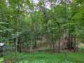 Colfax Residential Real Estate