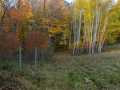 Boyceville Residential Real Estate
