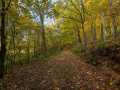 Boyceville Residential Real Estate