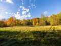 Boyceville Residential Real Estate