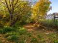 Boyceville Residential Real Estate