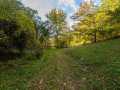 Boyceville Residential Real Estate
