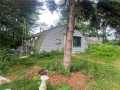 Amery Residential Real Estate