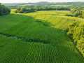 Menomonie Land Real Estate