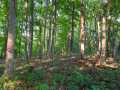 Menomonie Land Real Estate